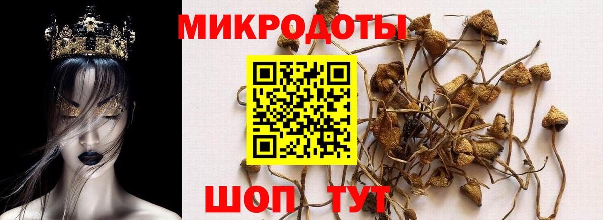 Псилоцибиновые грибы MAGIC MUSHROOMS Ртищево
