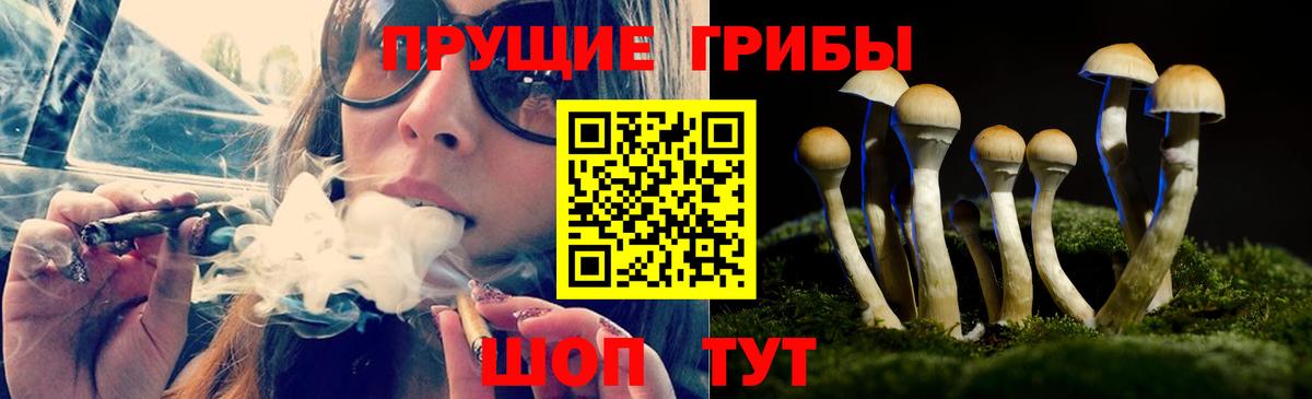 Псилоцибиновые грибы прущие грибы  Вход с VPN  Ртищево 